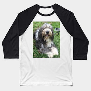 Bearded Collie - Happy Chappy Beardie Baseball T-Shirt